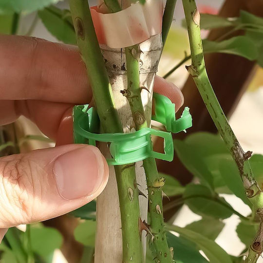 Clips Holding Tying Plant Shoots Tomatoes Cucumbers Vines Universal Compatibility Diameter 2.5 Cm Reusable Set 100 Pieces Green Original Deals