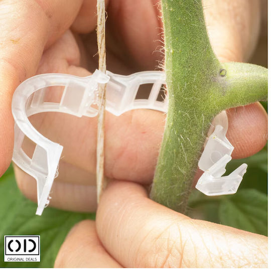 Cleme de Susținere pentru Legarea Lăstarilor de Plante Roșii Castraveți Viță de Vie Compatibilitate Universală Diametru 3 Cm Reutilizabil Set 100 Bucăți Alb Oferte Originale