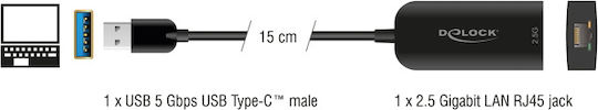 DeLock 66045 USB Network Adapter for Wired Connection Ethernet