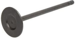 Freccia Intake Valve