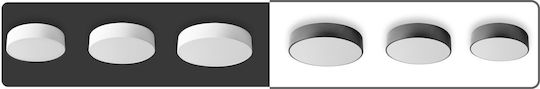 Toolight Ceiling Mount Light Black