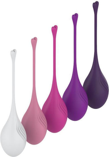 Set 5 Kegel Balls Different Weight