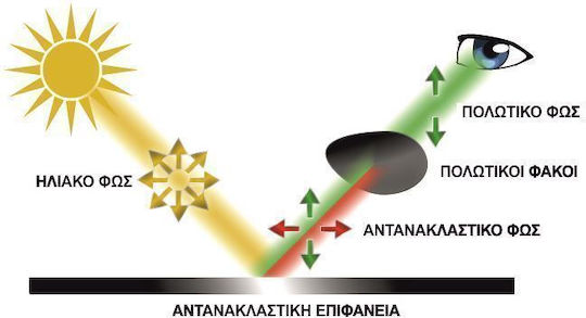 Ochelari de protecție polarizați Cofra Solarcage Polar Brown