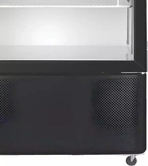 Dynamic Single Beverage Refrigerator 420lt H205xW66xD65cm