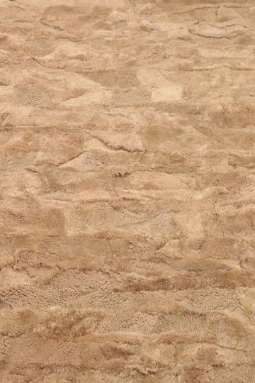 Furry Beige Furry Beige