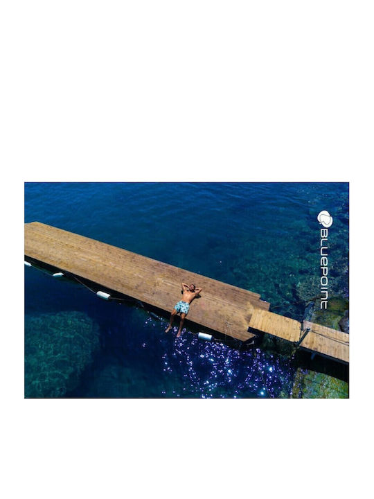 Bluepoint Bluepoint