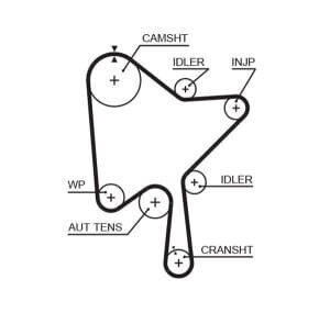 Water Pump Set + Gates Timing Belt
