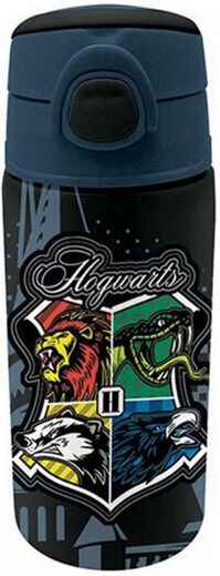 Graffiti Kids Water Bottle Harry Potter Stainless Steel with Straw 500ml