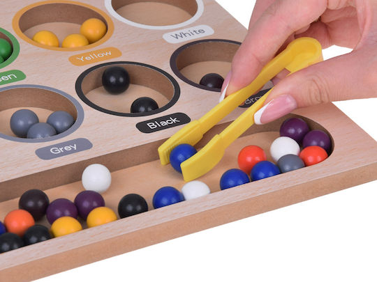 Jokomisiada Sorter Learning Colors Montessori Lernspiel Wissen aus Holz