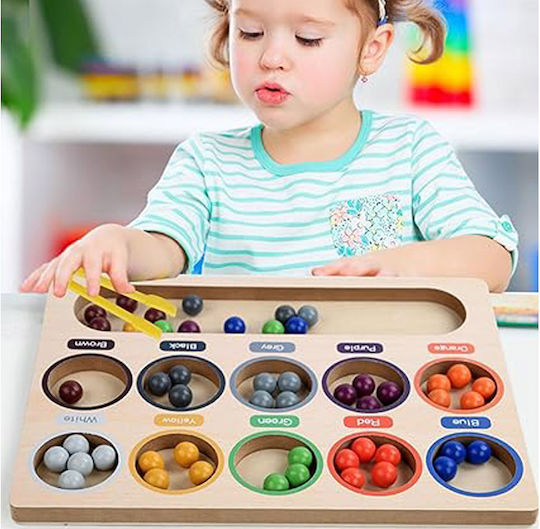 Jokomisiada Sorter Learning Colors Montessori Lernspiel Wissen aus Holz