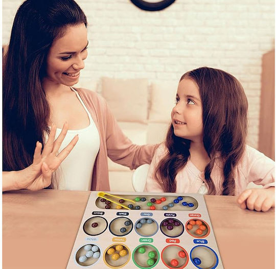 Jokomisiada Sorter Learning Colors Montessori Lernspiel Wissen aus Holz