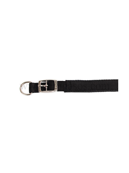 Kerbl Dog Collar in Blue Color 38mm x 61cm