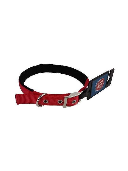 T.A.F. Pets Dog Collar in Green Color Medium 25mm