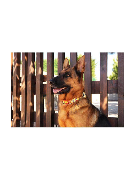 Dashi Hundehalsband in Gelber Farbe Mittel