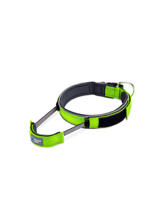 Armored Tech Hundehalsband in Grün Farbe Klein