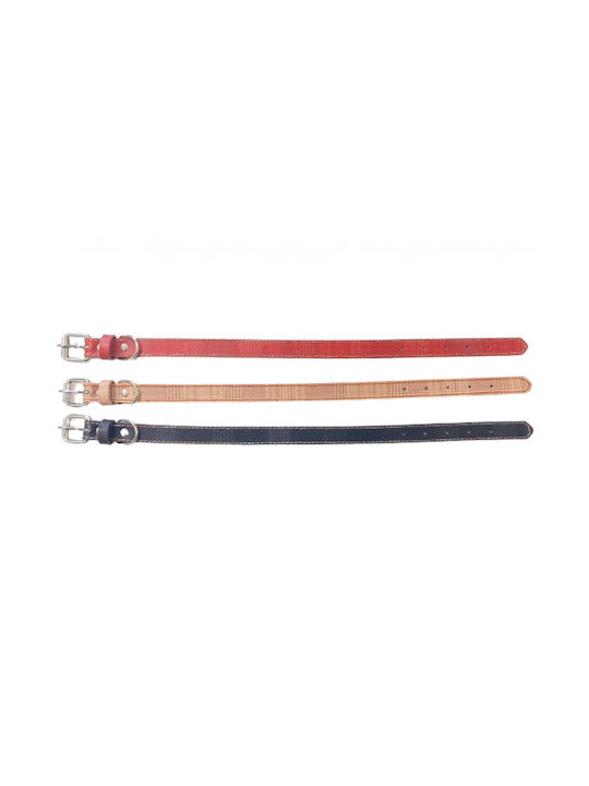 Hundehalsband 20mm x 46cm 12 Stück Verschiedene Farben Hundehalsband 20mm x 46cm 12 Stück Verschiedene Farben