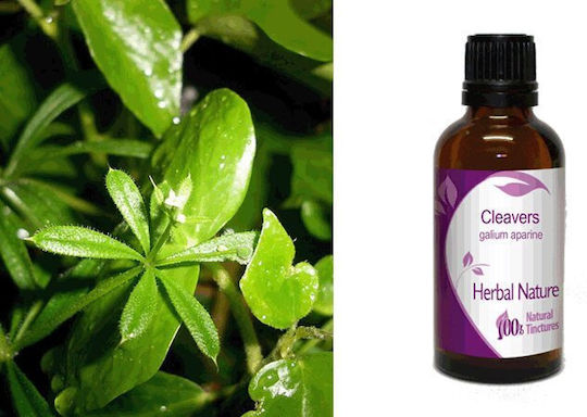 Tinctură de Lipicioasă 50ml Nature & Body