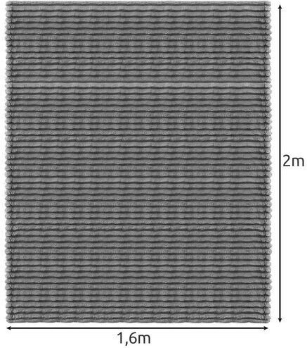 Ruhhy Samtige Decke Einzeln 160x200cm Grau