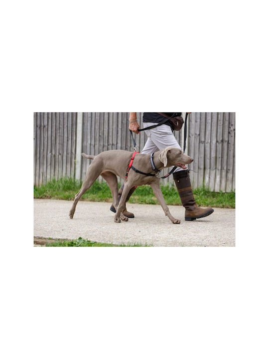 Company of Animals Dog Harness Training Black 372976