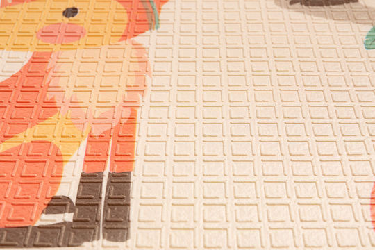 Toyz Indians Play Mat for Newborns