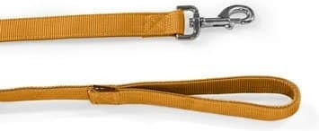 Glee Dog Leash/Lead Strap in Yellow color