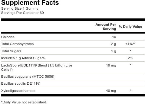 Swanson Probiotic & Prebiotic Συμπλήρωμα με Προβιοτικά & Πρεβιοτικά 60 ζελεδάκια Blackberry