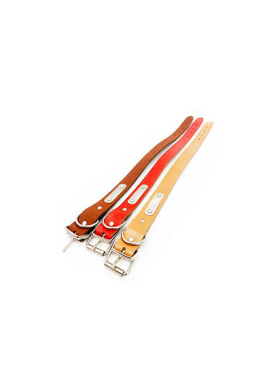 Vltools Hundehalsband Leder