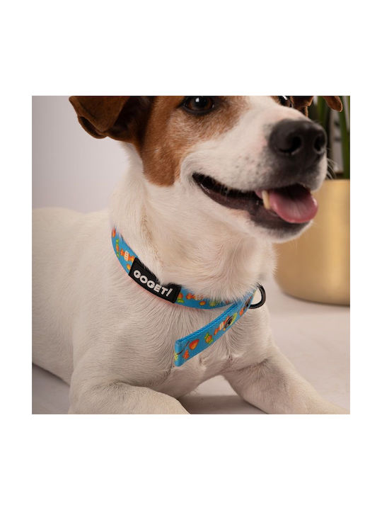 Pet Interest Goget Κολάρο