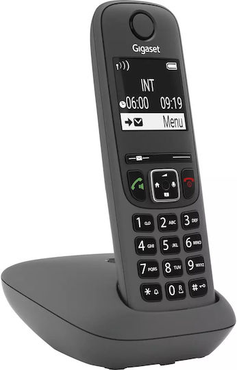 Gigaset AE690 Telefon fără fir cu Meniu în Limba Greacă Gri