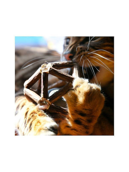 Croci Παιχνίδι Γάτας Μπάλα με Catnip