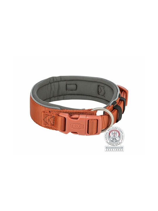 Trixie Premium Dog Collar in Orange color Medium / Large 40mm