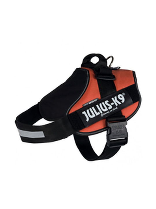 Julius K9 Dog Harness Orange X-Large