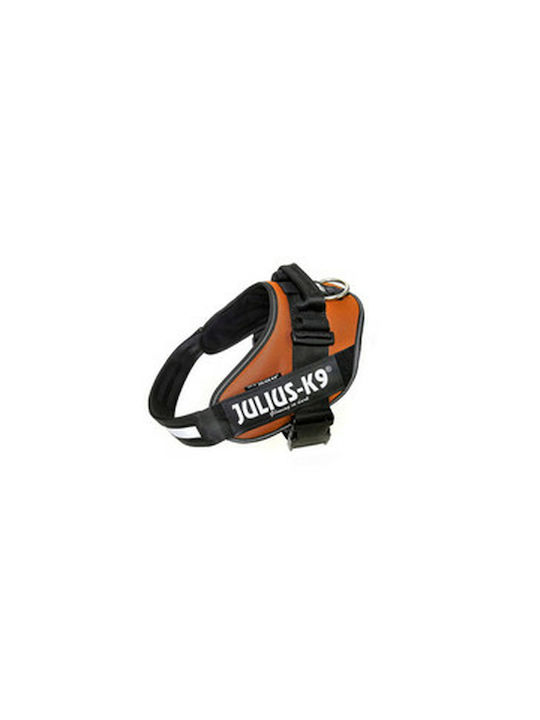 Julius K9 Dog Harness Orange X-Large