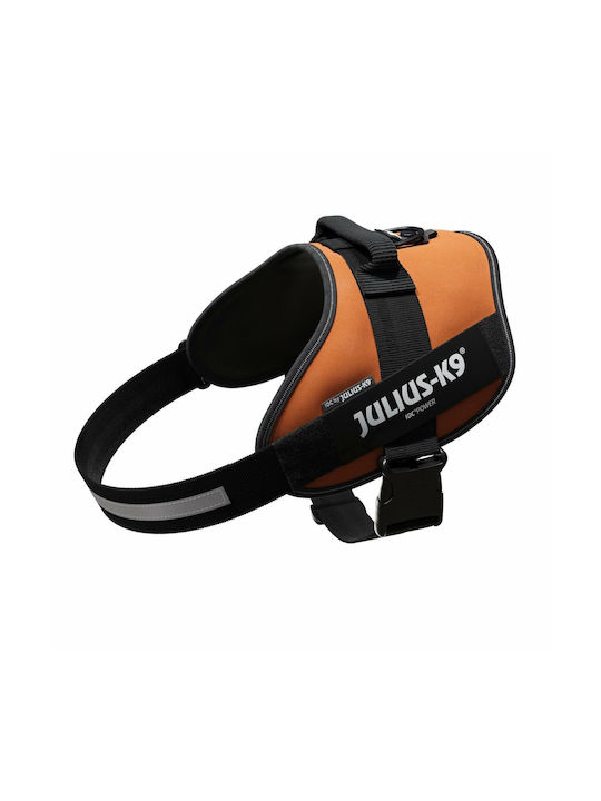 Julius K9 Dog Harness Orange X-Large