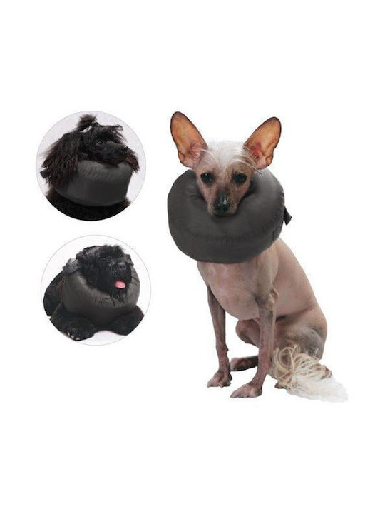Grande Finale Dog Collar in Black Colour Medium 21cm Grande Finale Dog Collar in Black Colour Medium 21cm