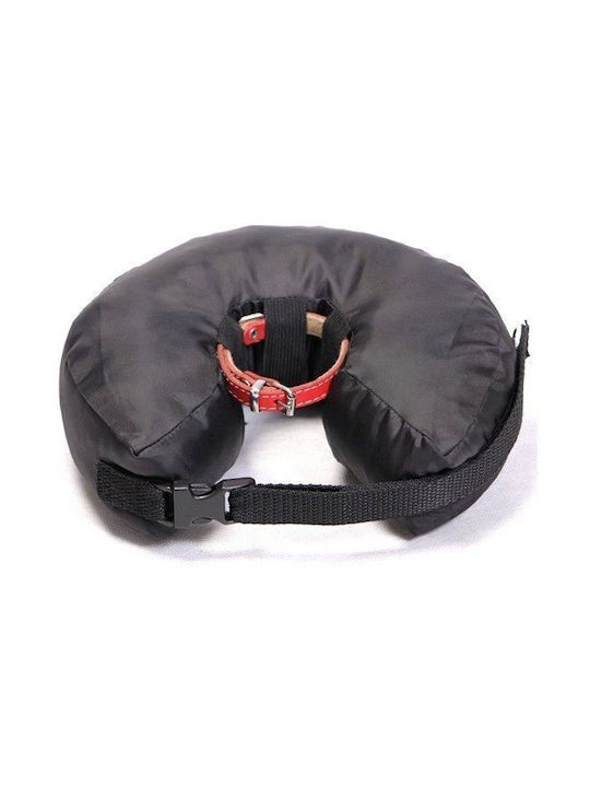 Grande Finale Hundehalsband aus in Schwarz Farbe Mittel 21cm