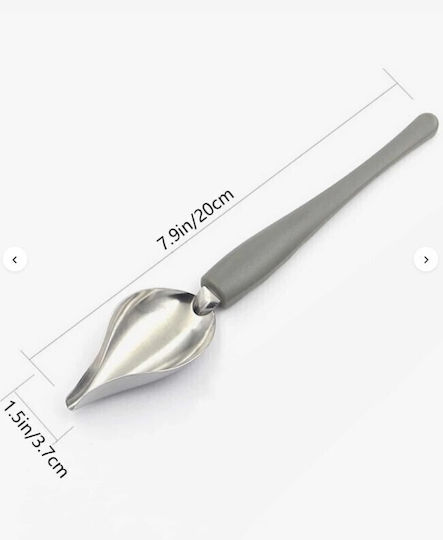 Spices Bazaar Dessert Ice Cream Stainless Steel Silver