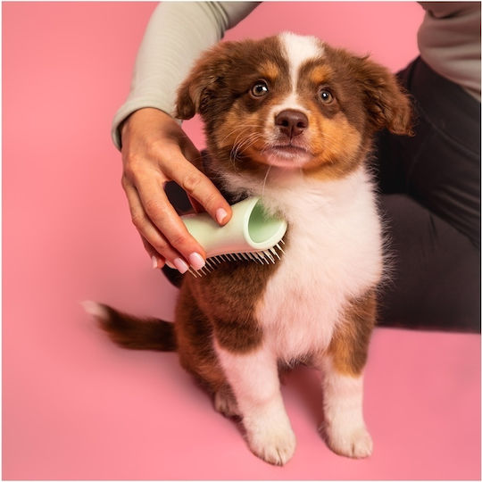 Tangle Teezer Pet Teezer Βούρτσα για Διάφορα Μήκη Τρίχας για Περιποίηση Τριχώματος Πράσινο