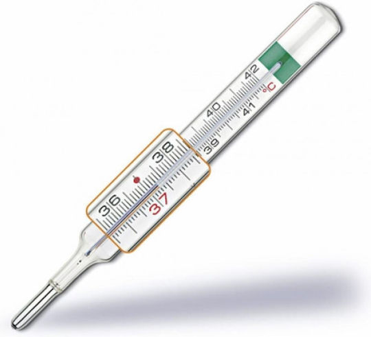 Pruno Gallium Thermometer Silver