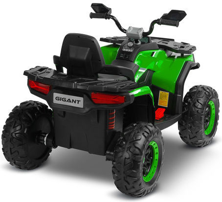Kinder Elektromotorrad 12V Grüne Für 3+ Jahre