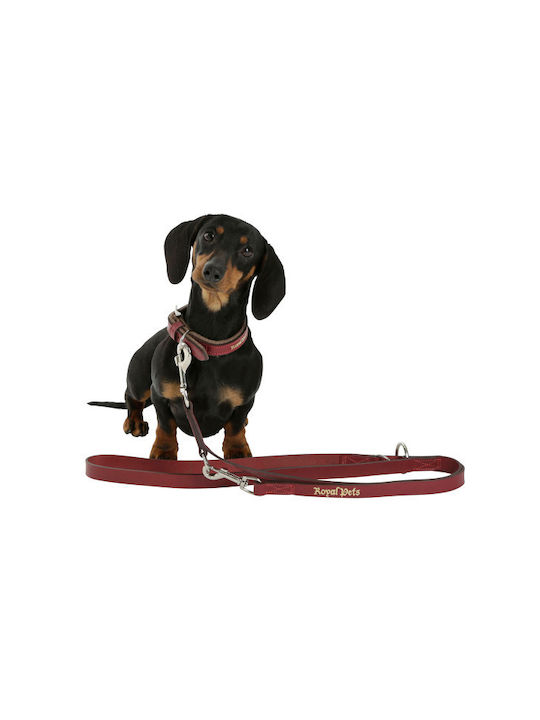 Kerbl Hundehalsband Leder in Rot Farbe