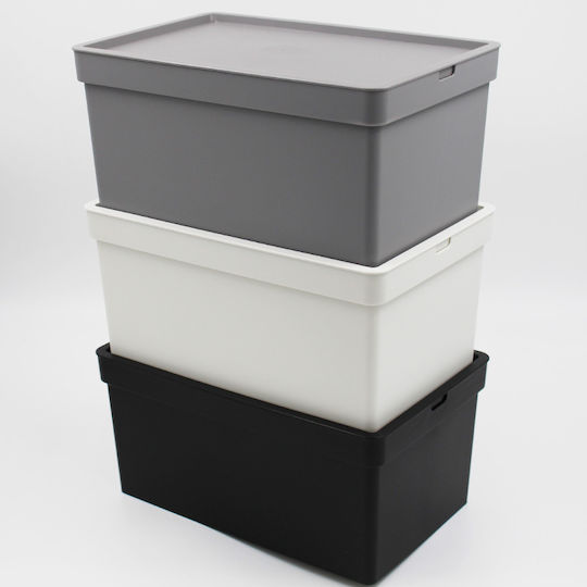 Viomes Nova Plastic Cutie de Depozitare cu Capac Gri 28x18.5x13.5cm 1buc