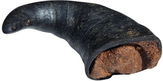 Trixie Chew Horn Dog Treat Κέρατο Σκύλου από Βουβάλι