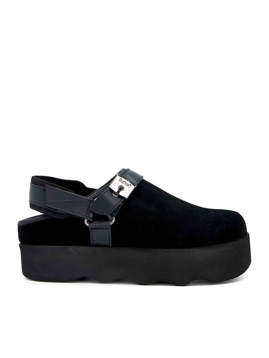 Scholl