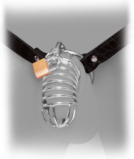 Orion Penis Cage in Gray Color