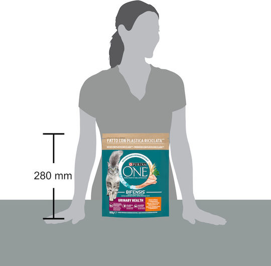Purina One One Dry Food for Cats with Sensitive Urinary with Chicken 0.8kg