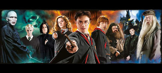 Κούπα Harry Potter 2