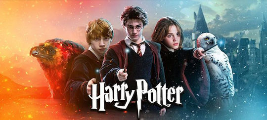 Κούπα Harry Potter 5
