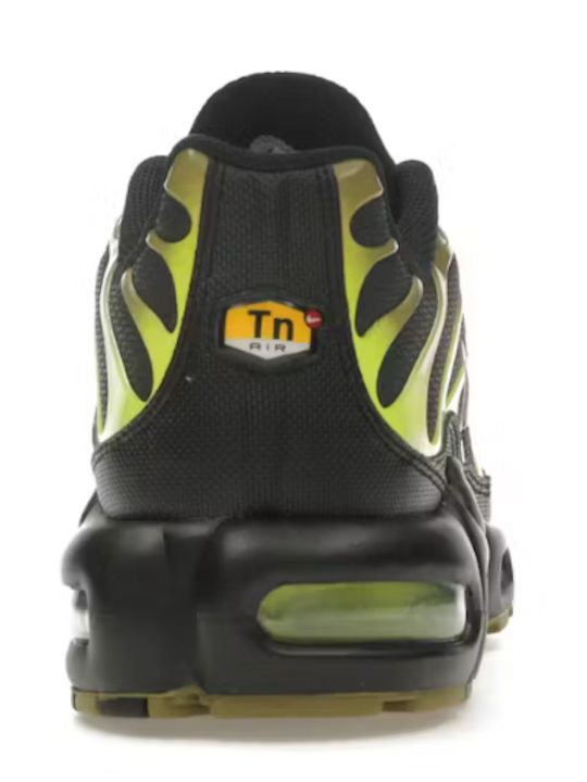 TN Air Max Plus Adidași Pentru Bărbați Pacific Moss