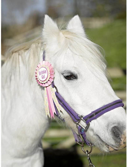Talking Tables Photo Booth Prop PONY-BDAYROSETTE
